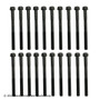 Beck/Arnley Engine Cylinder Head Bolt Set P/N:016-1019