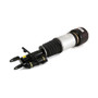Arnott Industries Air Suspension Strut P/N:AS-2785