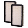 Premium Guard Engine Air Filter P/N:PA5395