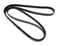 Continental Serpentine Belt P/N:4060913