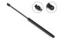 Stabilus Trunk Lid Lift Support P/N:4B-8908CO