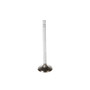 Melling Engine Exhaust Valve P/N:V5560