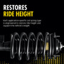 Monroe Shocks & Struts Suspension Strut and Coil Spring Assembly P/N:171124