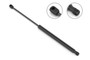 Stabilus Liftgate Lift Support P/N:4B-9041QY