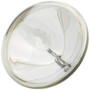 Wagner Lighting Multi Purpose Light Bulb P/N:4636