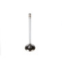 Melling Engine Exhaust Valve P/N:V1903