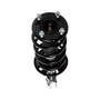 PRT Suspension Strut and Coil Spring Assembly P/N:818919