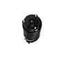 PRT Suspension Strut and Coil Spring Assembly P/N:818628