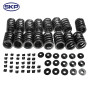 SKP Engine Valve Spring Kit P/N:SKERV880