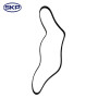 SKP Serpentine Belt P/N:SK060605
