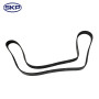 SKP Serpentine Belt P/N:SK060605