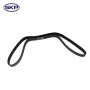 SKP Engine Timing Belt P/N:SKT295