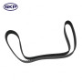 SKP Engine Timing Belt P/N:SKT295