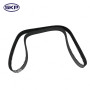 SKP Engine Timing Belt P/N:SKT257