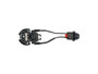 Dorman - TECHoice Tail Light Socket