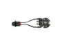 Dorman - TECHoice Tail Light Socket - view 3