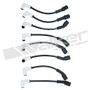Walker Products Spark Plug Wire Set P/N:924-6008