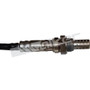 Walker Products Oxygen Sensor 350-34231 - view 8