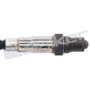 Walker Products Oxygen Sensor 350-35013 - view 6