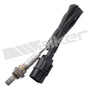Walker Products Oxygen Sensor 250-24286