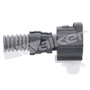 Walker Products Oxygen Sensor 250-24644 - view 8