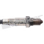 Walker Products Oxygen Sensor 250-25051 - view 6