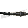 Walker Products Oxygen Sensor 250-241142 - view 4