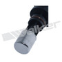 Walker Products Engine Crankshaft Position Sensor 235-91080 - view 7