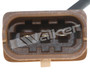 Walker Products Engine Crankshaft Position Sensor 235-1652 - view 8