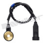 Walker Products Ignition Knock (Detonation) Sensor 242-1305 - view 6