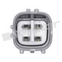Walker Products Oxygen Sensor 250-24344 - view 2