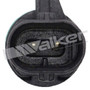 Walker Products Air Charge Temperature Sensor 210-1148 - view 7