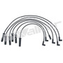 Walker Products Spark Plug Wire Set 924-1331
