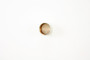 Pioneer Automotive Industries Automatic Transmission Bushing 755094