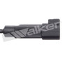 Walker Products ABS Wheel Speed Sensor 241-1013 - view 4