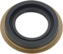 BCA Differential Pinion Seal P/N:NS710549