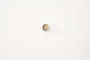 Pioneer Automotive Industries Automatic Transmission Bushing 755106 - view 2