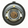 Motorad Engine Coolant Thermostat 7340-195 - view 4