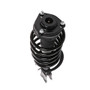 PRT Suspension Strut and Coil Spring Assembly P/N:818992