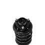 PRT Suspension Strut and Coil Spring Assembly P/N:815882