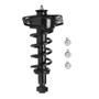 PRT Suspension Strut and Coil Spring Assembly P/N:714130L