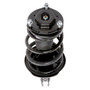 PRT Suspension Strut and Coil Spring Assembly P/N:815930