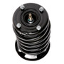 PRT Suspension Strut and Coil Spring Assembly P/N:816339