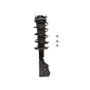 PRT Suspension Strut and Coil Spring Assembly P/N:816716