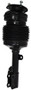 Westar Air Suspension Strut P/N:AS-37108