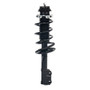 PRT Suspension Strut and Coil Spring Assembly P/N:813864