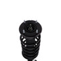 PRT Suspension Strut and Coil Spring Assembly P/N:817153