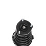 PRT Suspension Strut and Coil Spring Assembly P/N:814910