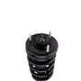 PRT Suspension Strut and Coil Spring Assembly P/N:710413