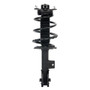 PRT Suspension Strut and Coil Spring Assembly P/N:920290
